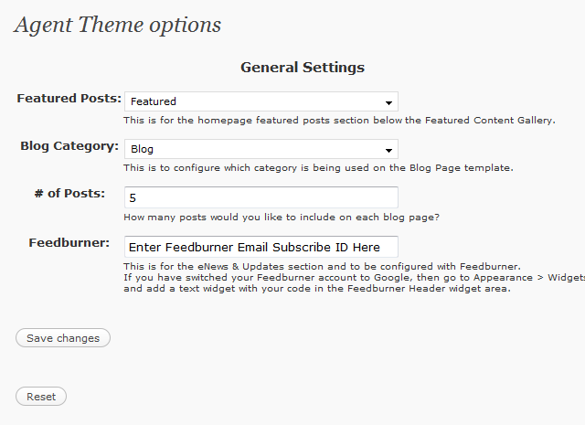 Agent WordPress Theme Options