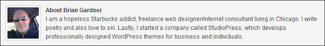 Executive WordPress Theme Author Box