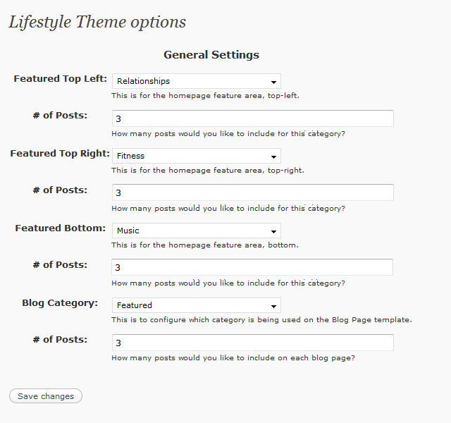WordPress Theme Options