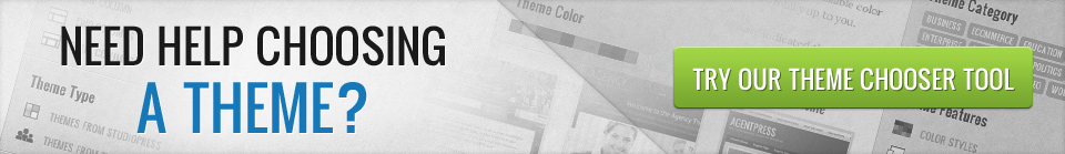 Choose a WordPress Theme