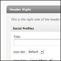 Social Profiles Widget