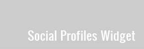 Social Profiles Widget Plugin
