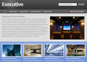 Executive Child Theme