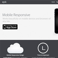 Epik Theme
