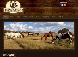 MeadowHavenHorseRescue