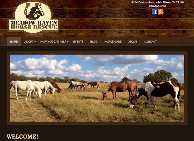 MeadowHavenHorseRescue