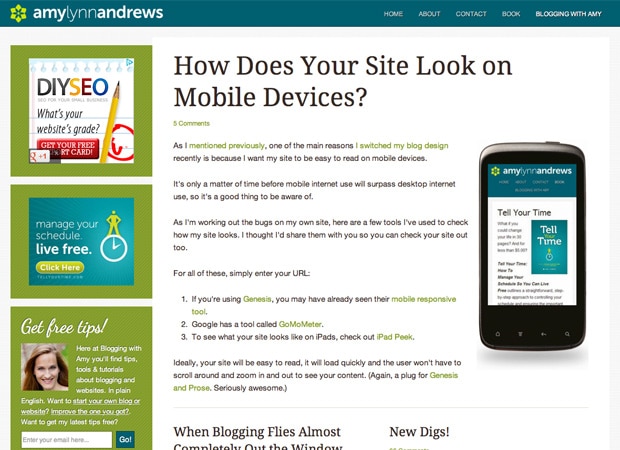 Blogging With Amy