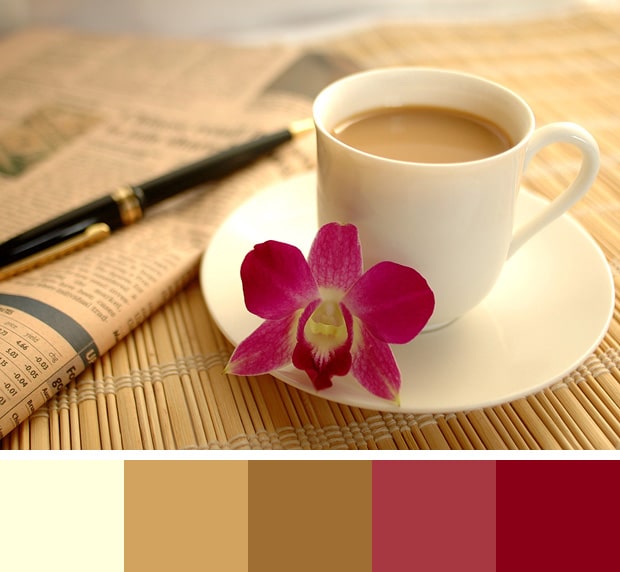 Fuchsia Color Palette
