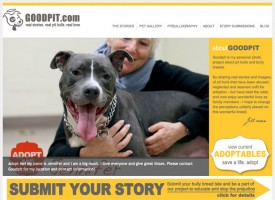 goodpit