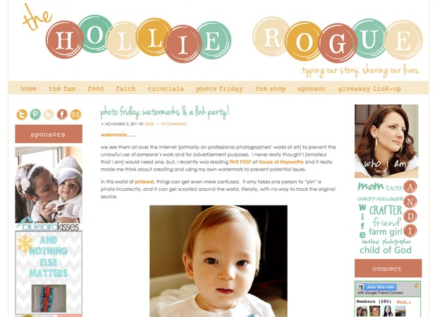The Hollie Rogue