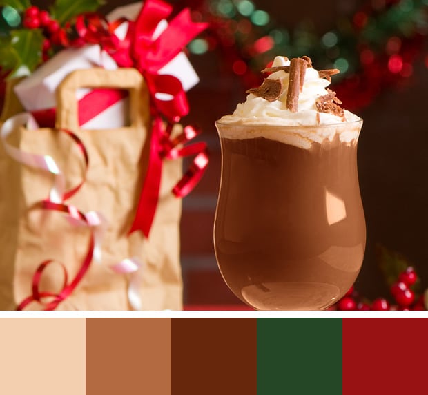 Hot Chocolate Color Palette