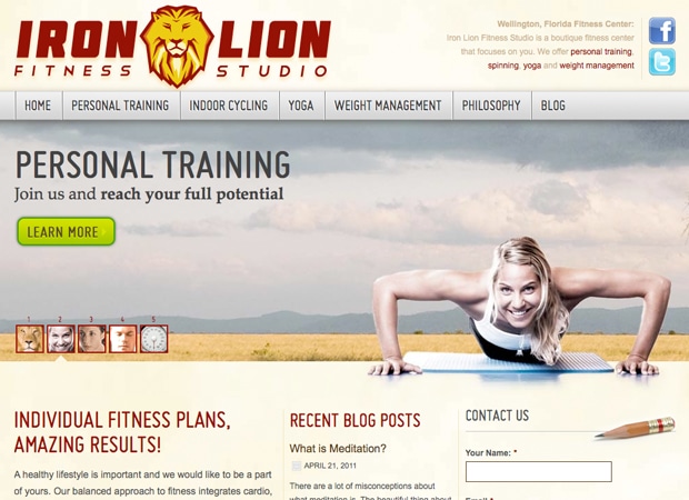 Iron Lion Fitness