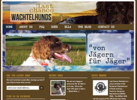 last-chance-wachtel