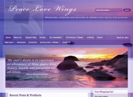 peace-love-wings