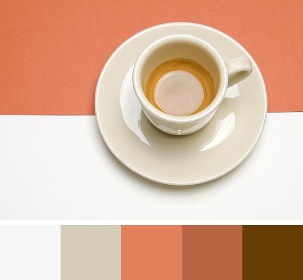 Peaches and Cream Color Palette