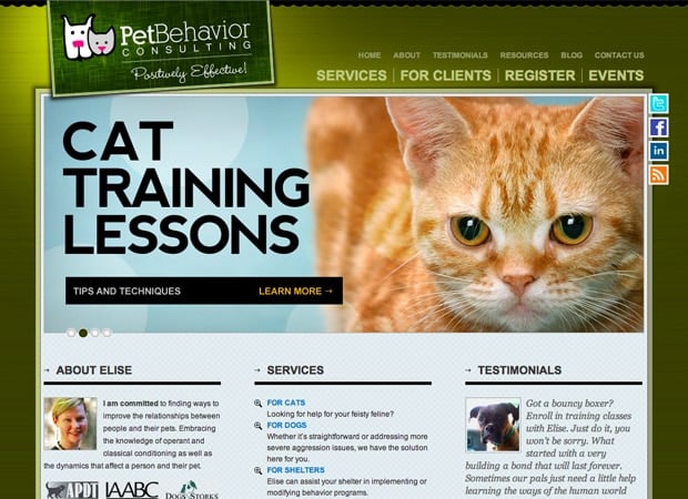 Pet Behaviour Consulting