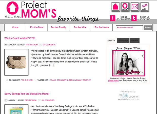 Project Mom Blog