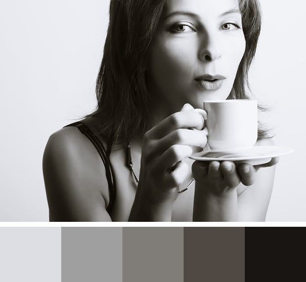 Windblown Color Palette
