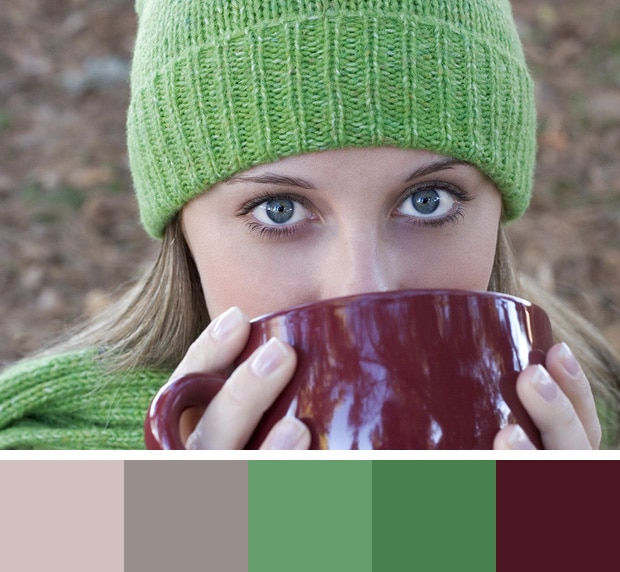 Winter Cider Color Palette