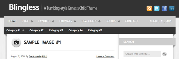 image of the Blingless theme for WordPress