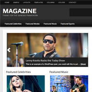 Magazine Pro Theme